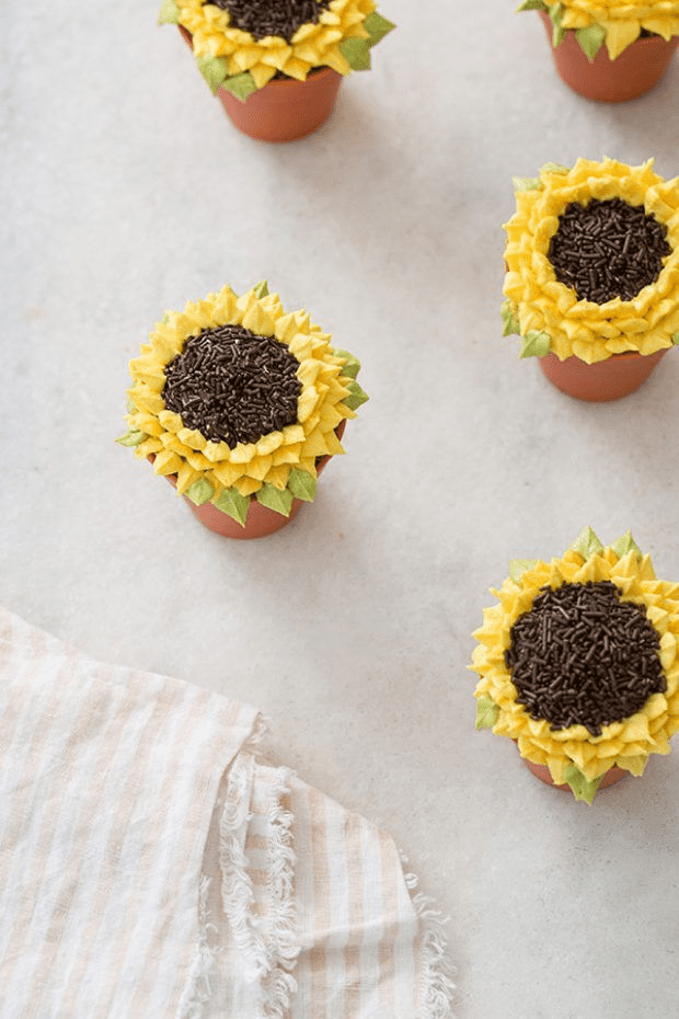 Terra Cotta Sunflower Cupcakes