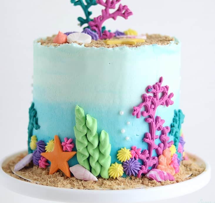 Under Ocean Cake